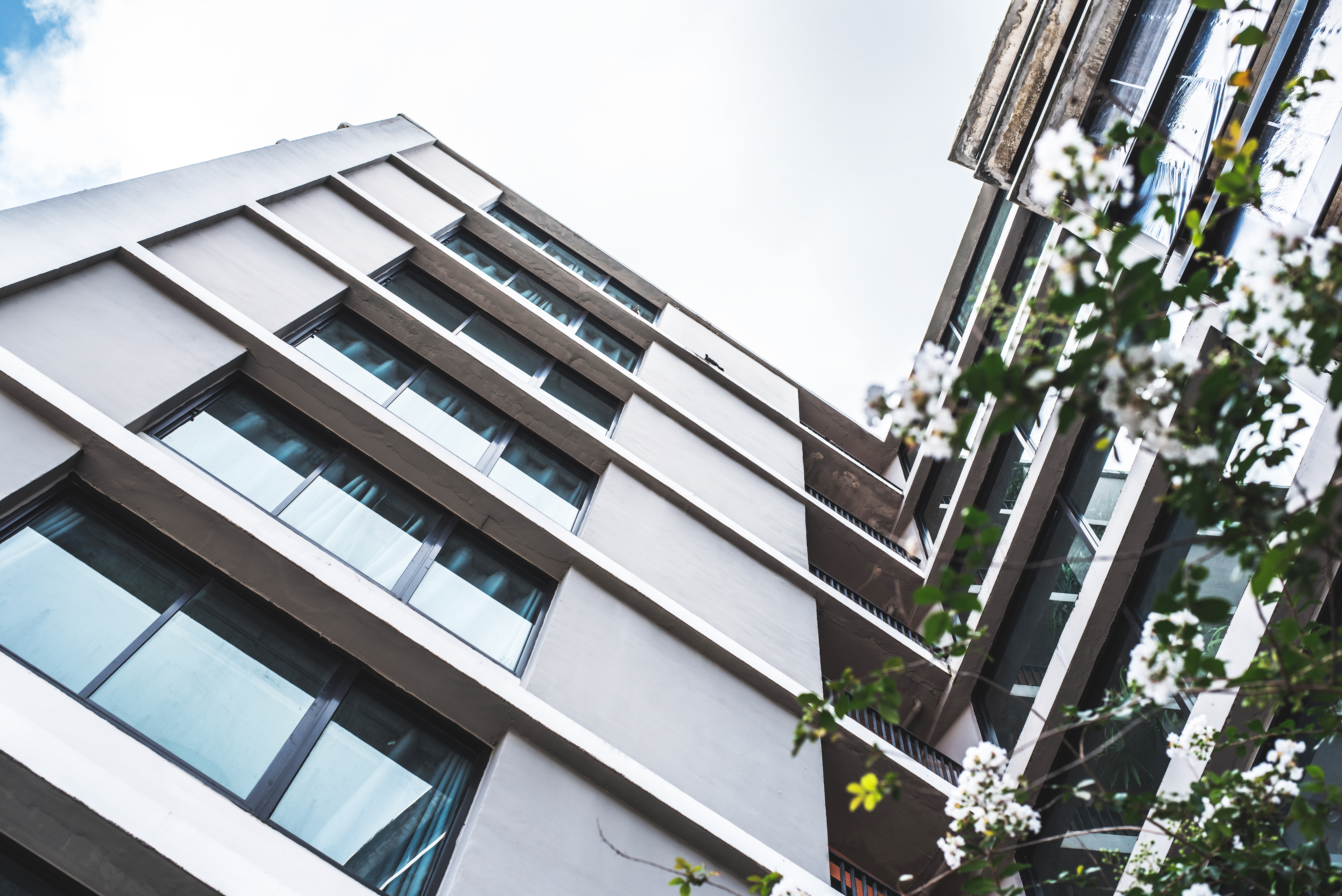 Cum protejezi tâmplăria PVC când renovezi casa